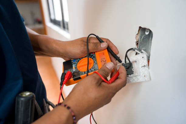 Best Licensed Electrician  in Elbow Lake, MN