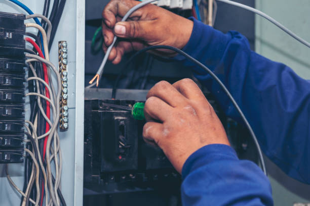 Best Electrical Outlet Repair  in Elbow Lake, MN