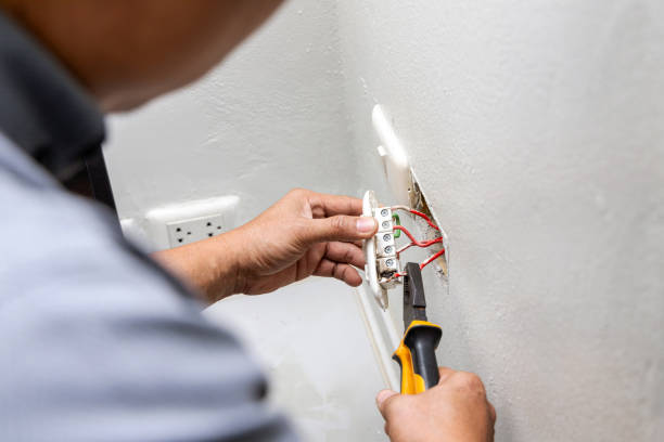 Best Electrical System Inspection  in Elbow Lake, MN