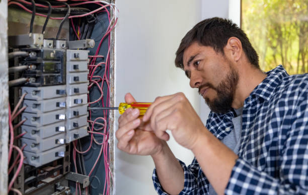 Best Electrician for Home Renovation  in Elbow Lake, MN